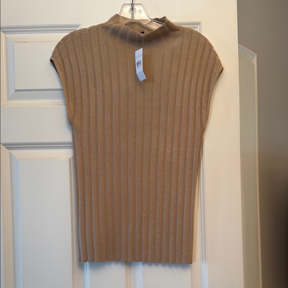 Ann Taylor Tan Ribbed Knit Top